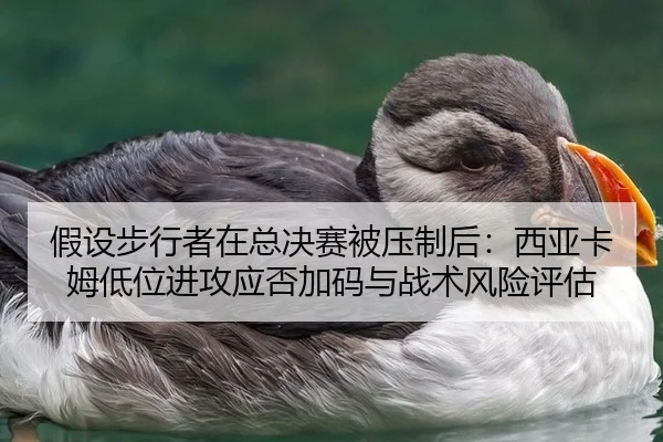 假设步行者在总决赛被压制后：西亚卡姆低位进攻应否加码与战术风险评估