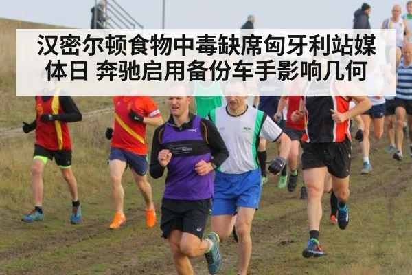 汉密尔顿食物中毒缺席匈牙利站媒体日 奔驰启用备份车手影响几何